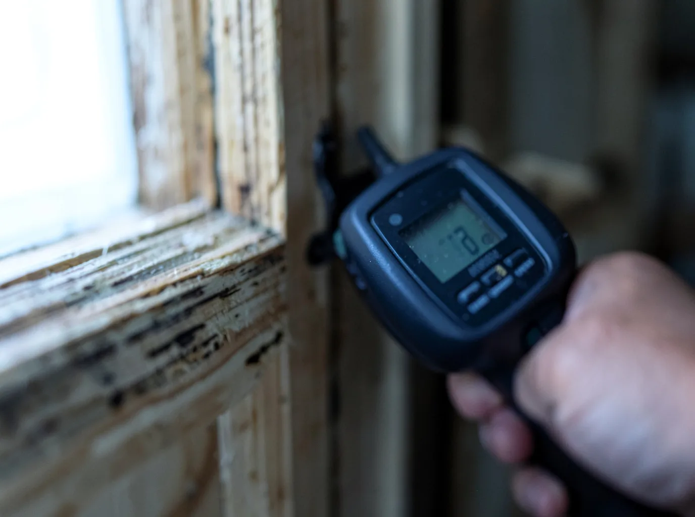 Moisture Inspection And Documentation in Mount Holly, NJ